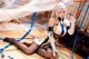 星之迟迟 Cosplay 胡桃 P22 No.d0e59e Image No. 65