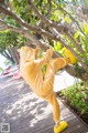 A person in a yellow bear costume hanging from a tree.